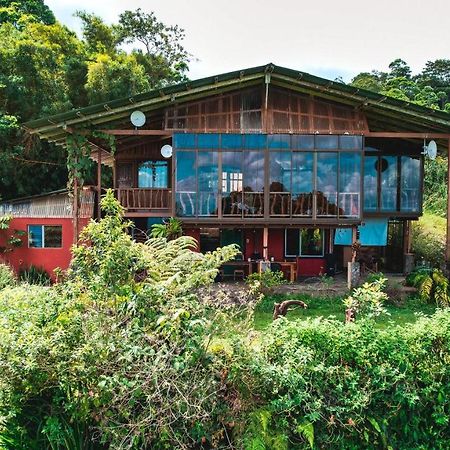 Bed and Breakfast Birds & Breakfast Costa Rica Тигра Экстерьер фото