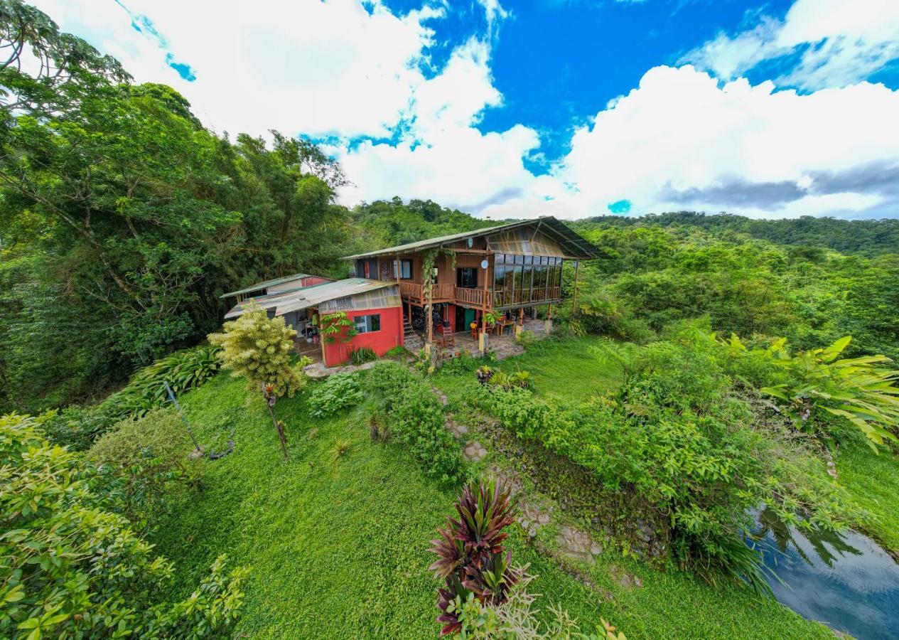Bed and Breakfast Birds & Breakfast Costa Rica Тигра Экстерьер фото