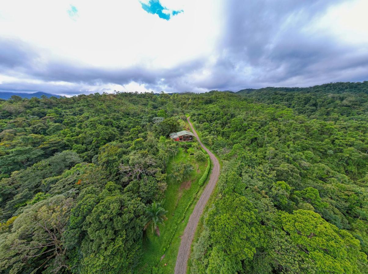 Bed and Breakfast Birds & Breakfast Costa Rica Тигра Экстерьер фото