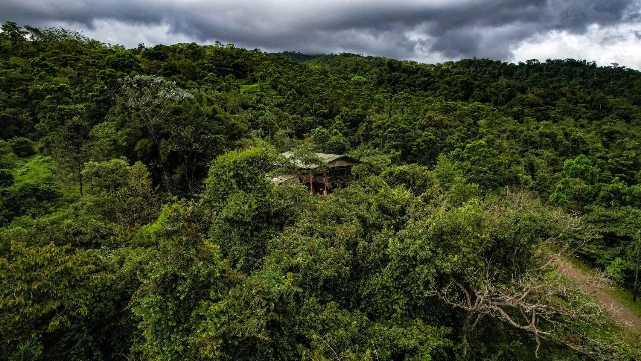 Bed and Breakfast Birds & Breakfast Costa Rica Тигра Экстерьер фото