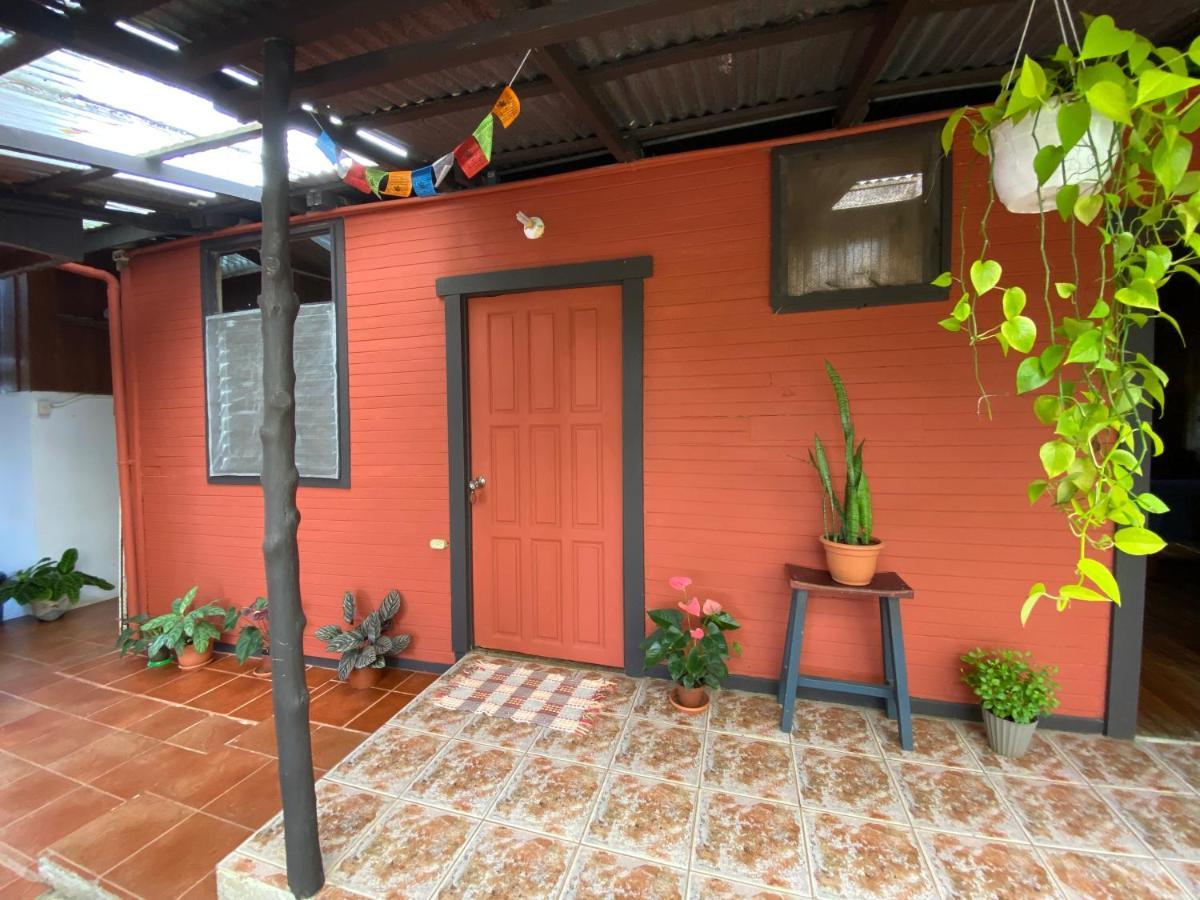 Bed and Breakfast Birds & Breakfast Costa Rica Тигра Экстерьер фото