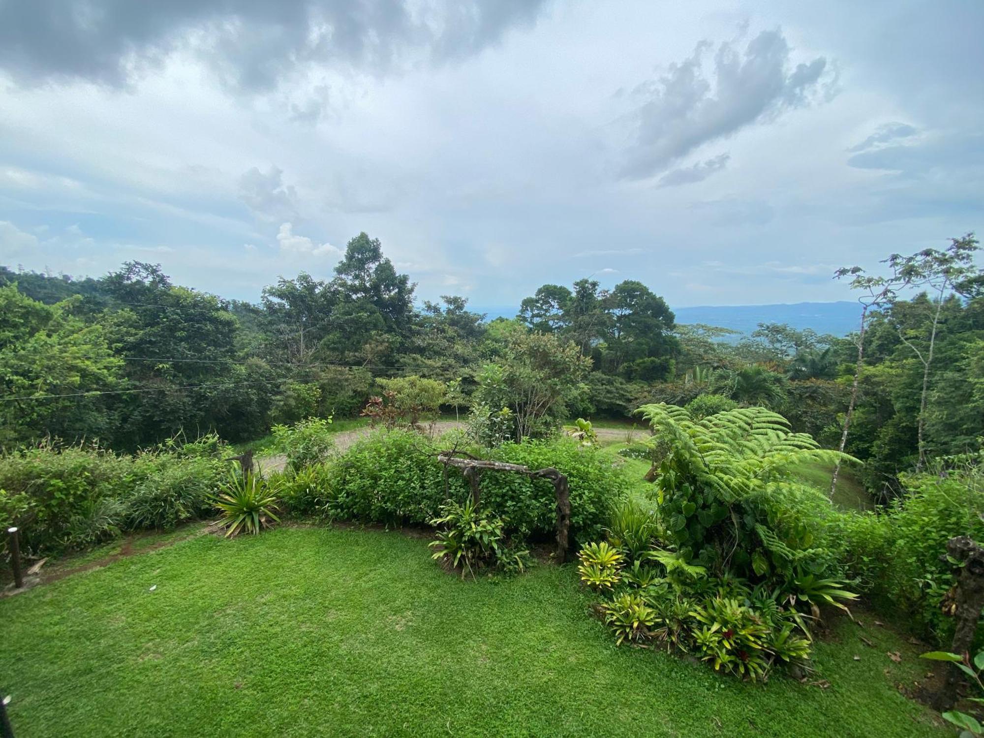 Bed and Breakfast Birds & Breakfast Costa Rica Тигра Экстерьер фото