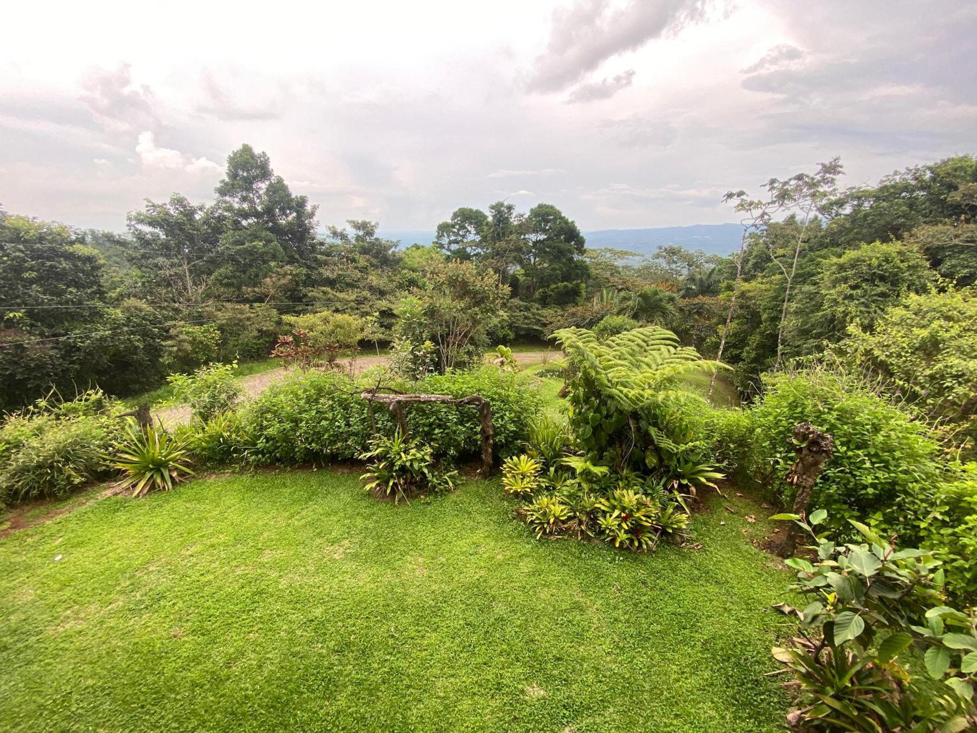 Bed and Breakfast Birds & Breakfast Costa Rica Тигра Экстерьер фото