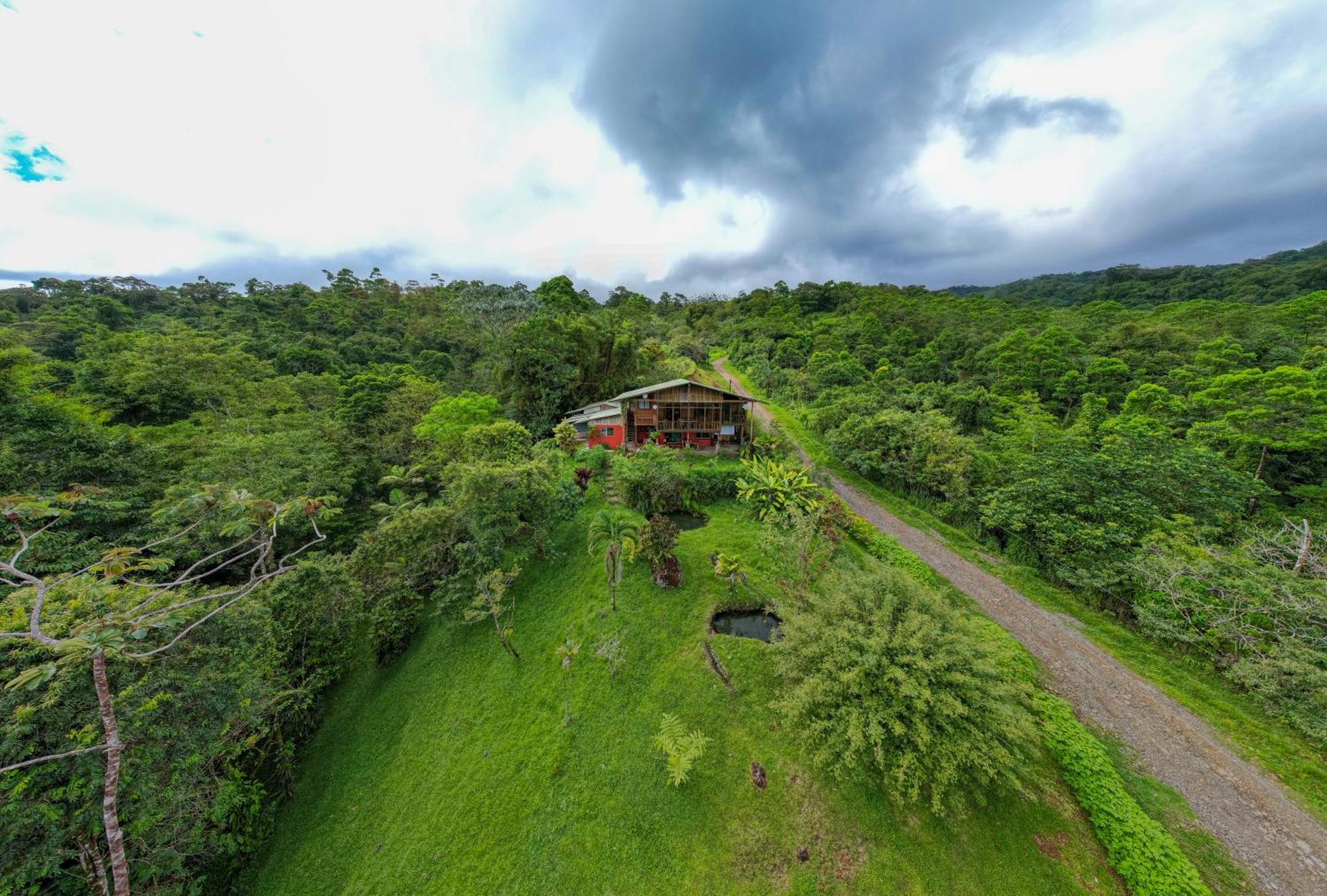 Bed and Breakfast Birds & Breakfast Costa Rica Тигра Экстерьер фото