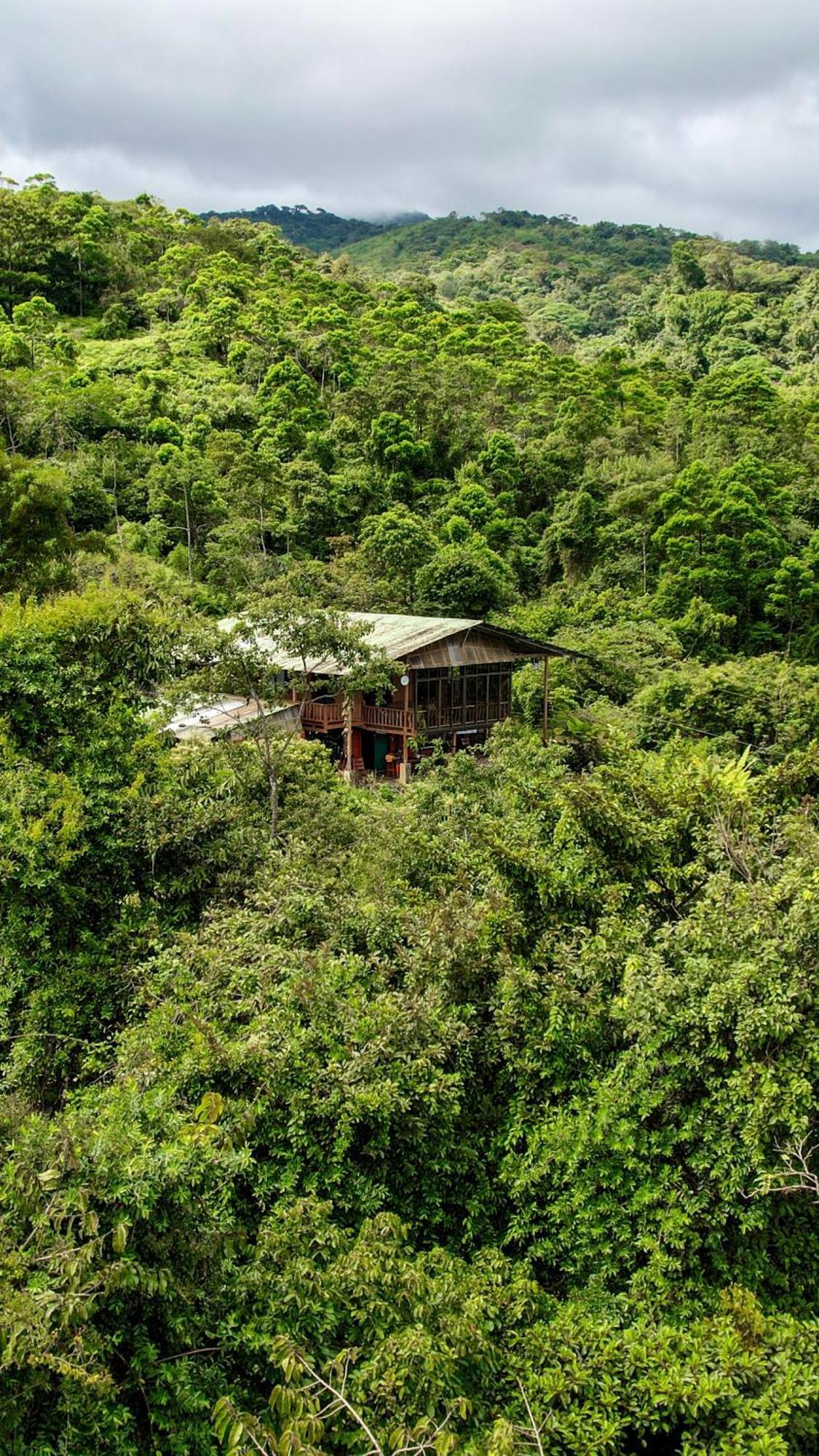 Bed and Breakfast Birds & Breakfast Costa Rica Тигра Экстерьер фото
